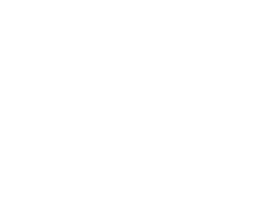 犬のトリミングも15年以上の経験