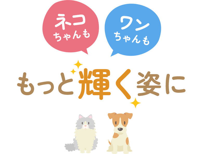 ネコちゃんもワンちゃんももっと輝く姿に